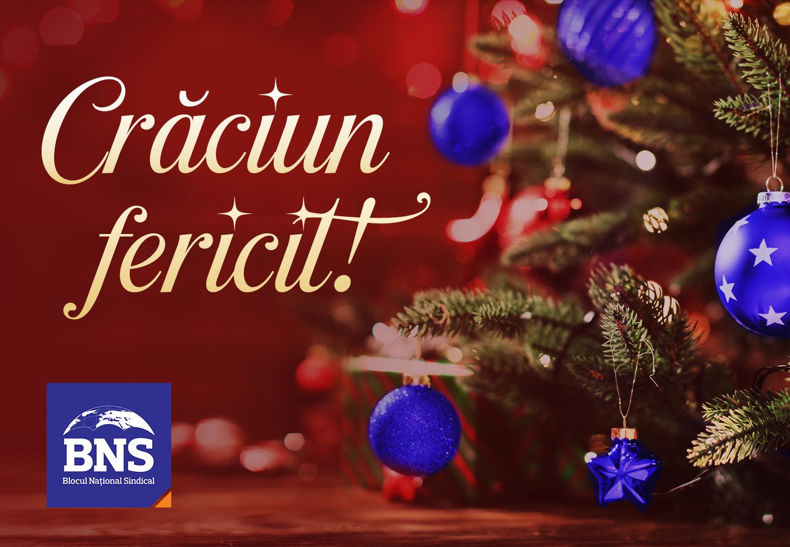 Blocul Național Sindical vă urează Crăciun fericit!