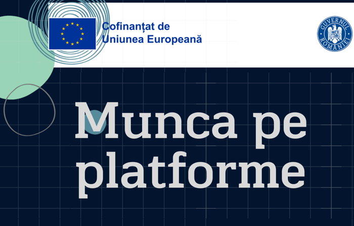 Dezbatere BNS despre munca pe platforme digitale