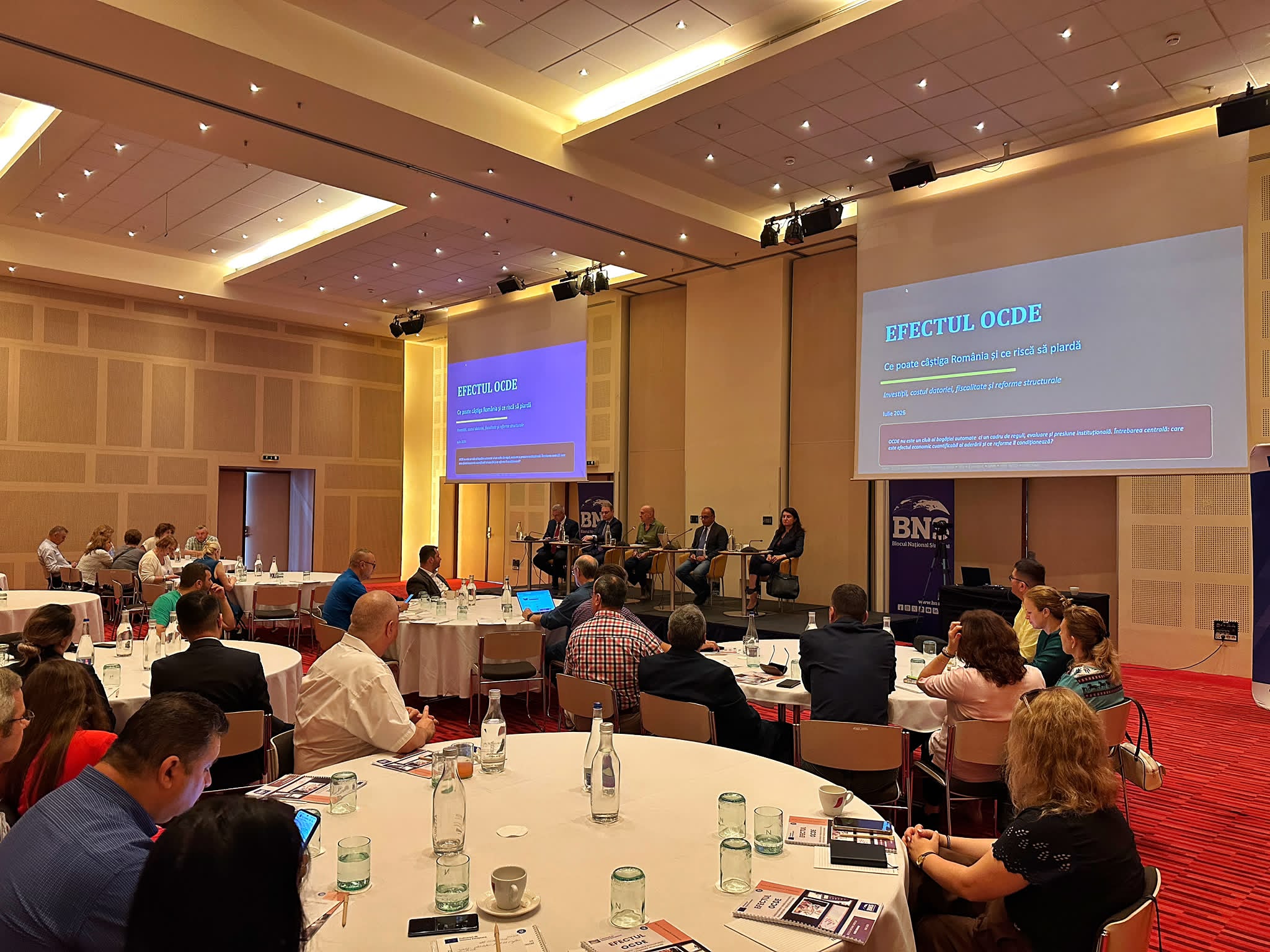 efectul_OCDE.jpeg